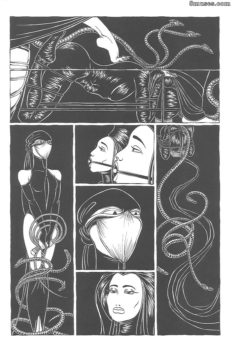 Amerotica Comics - The Spider Garden - Page 46