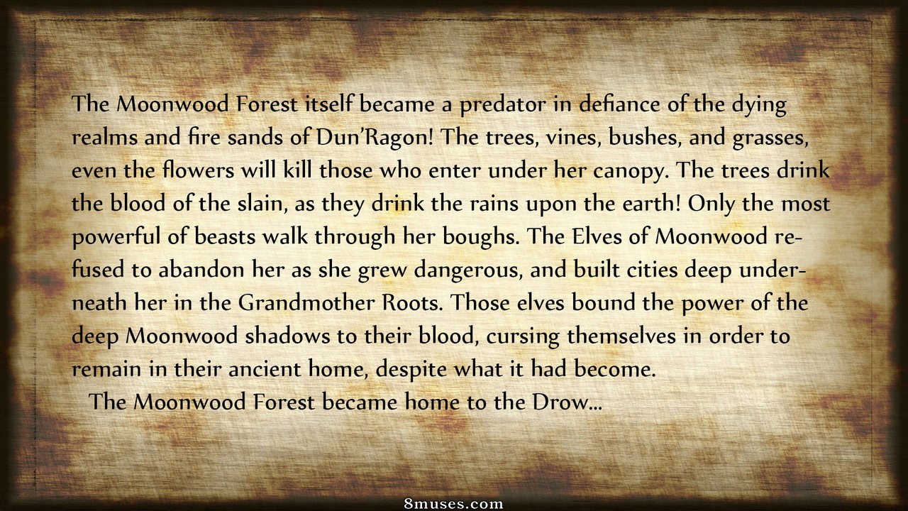 The Chronicles Of Dunragon - Issue 3 - Page 3
