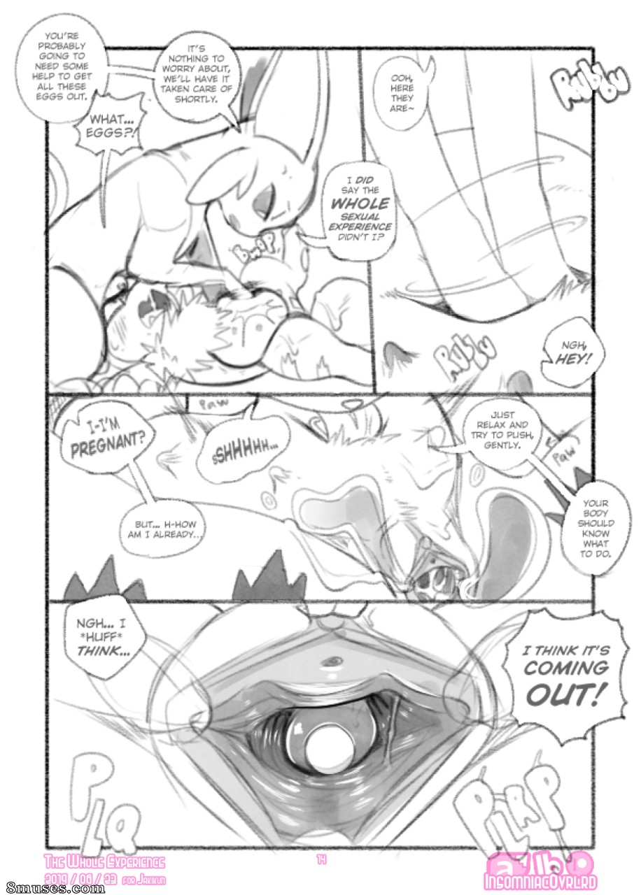 Insomniacovrlrd - The Whole Experience - Page 14