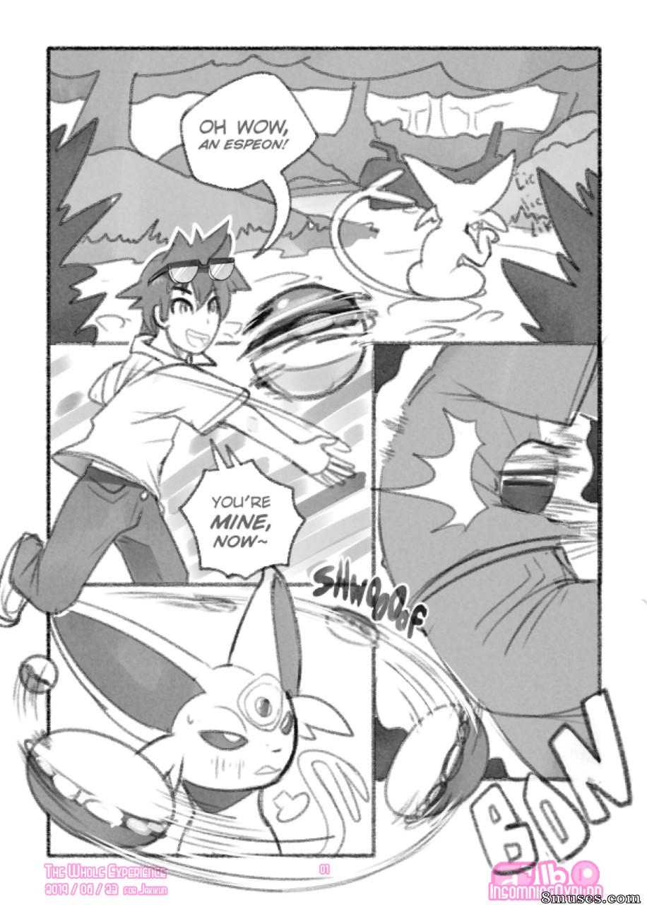 Insomniacovrlrd - The Whole Experience - Page 1