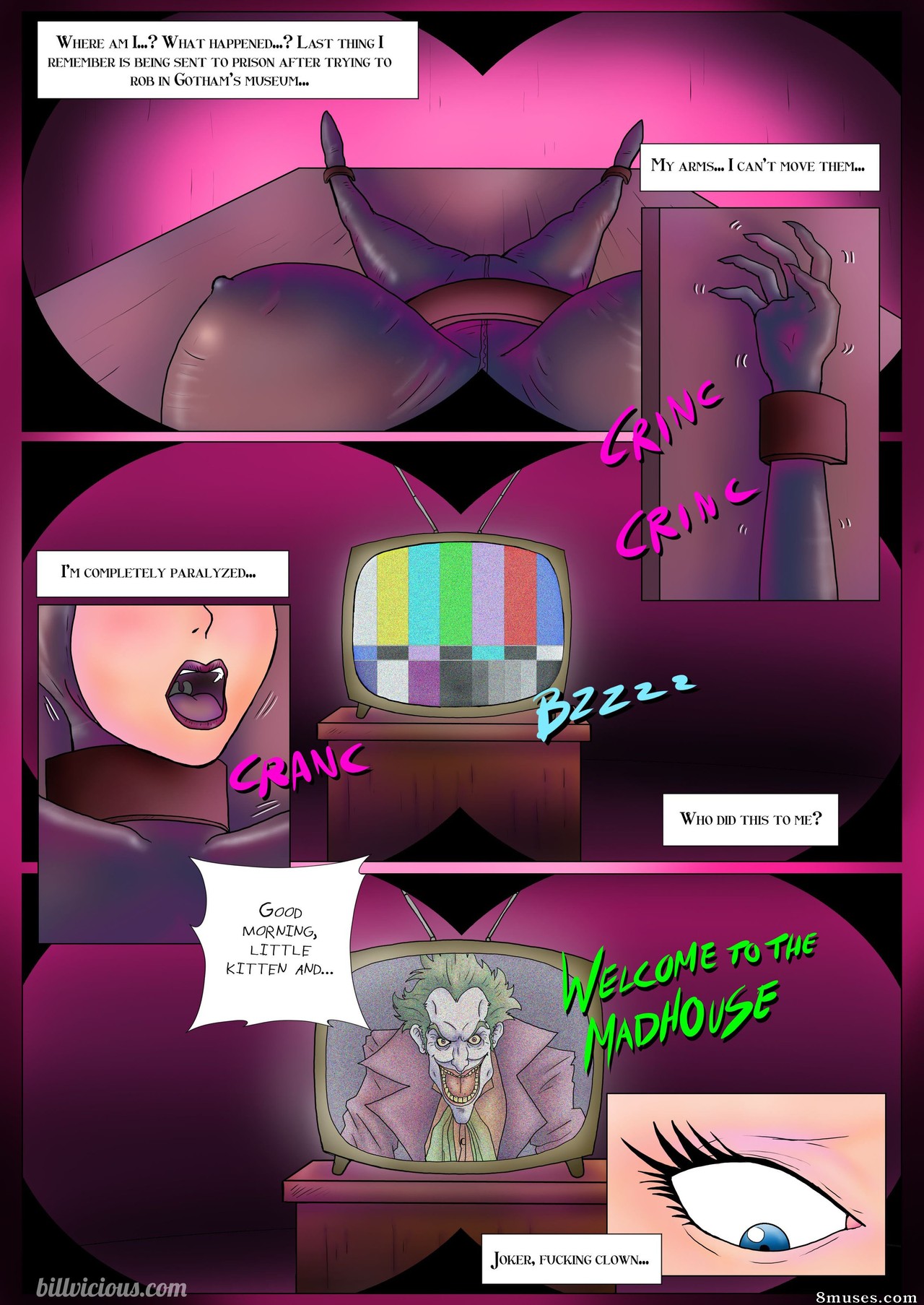 Bill Vicious - Arkham Asylum Sex-Madness - Page 5
