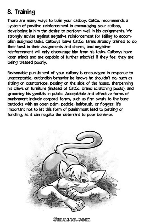 Adult Comix - The Catboy Owners Manual - Page 13