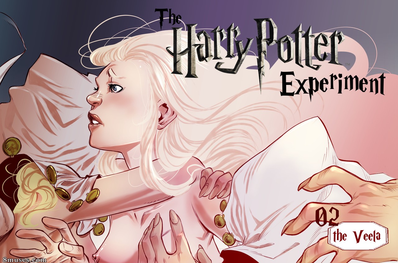 L'expérience Harry Potter - Numéro 2 - Page 2