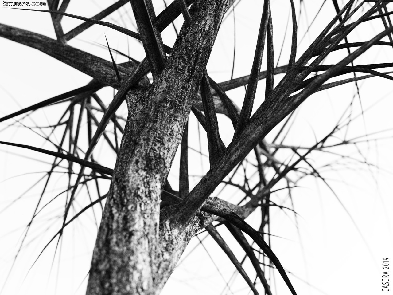 Issue 1 - Black & White - Page 32