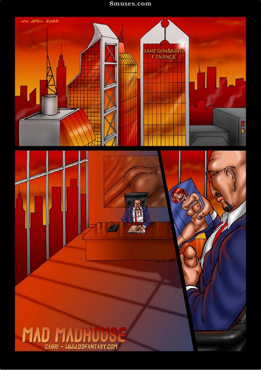 Fansadox Comics - Fansadox 029 - Cagri - Mad Madhouse - Page 2