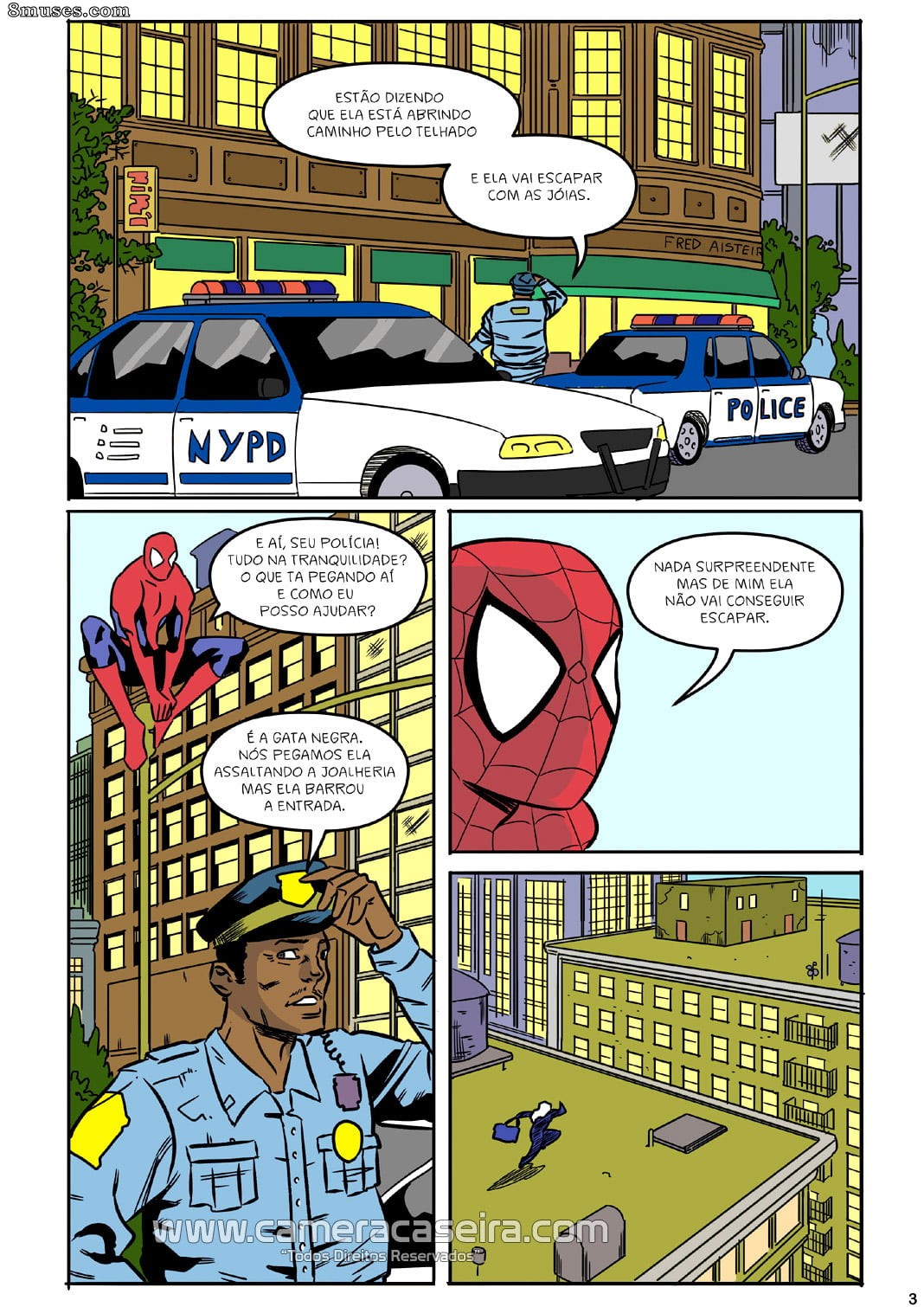A Vida Secreta dos Super Heróis - 9 Um Acordo com a Gata Negra - Page 3