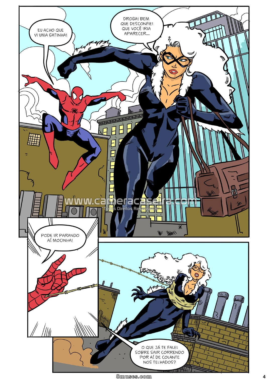 A Vida Secreta dos Super Heróis - 9 Um Acordo com a Gata Negra - Page 4