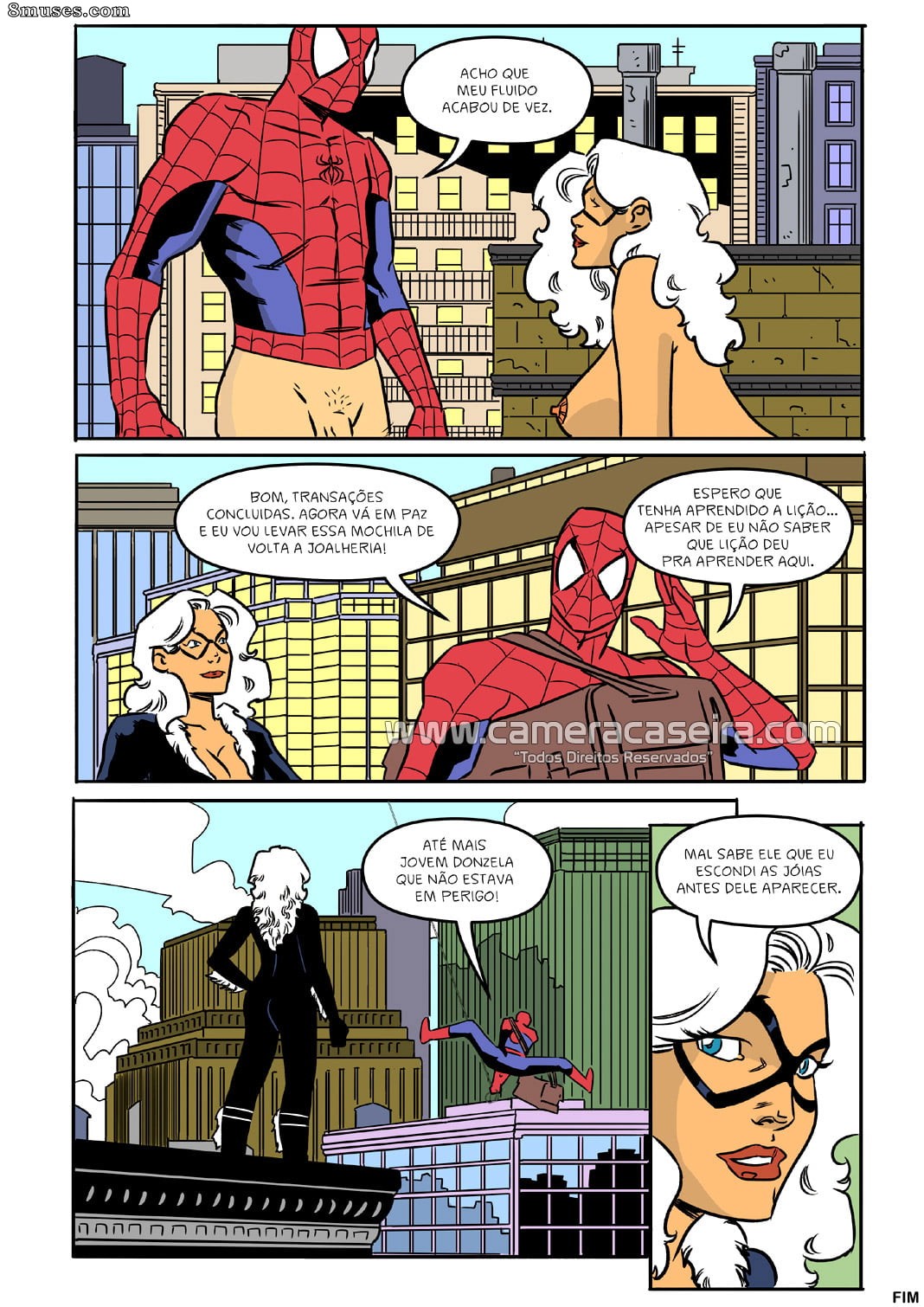 A Vida Secreta dos Super Heróis - 9 Um Acordo com a Gata Negra - Page 10
