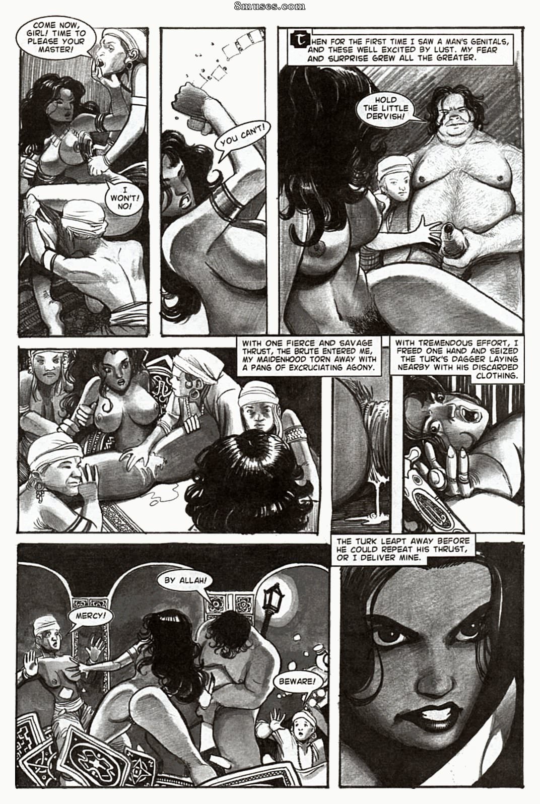 Amerotica Comics - A Night In A Moorish Harem 2 - Page 15