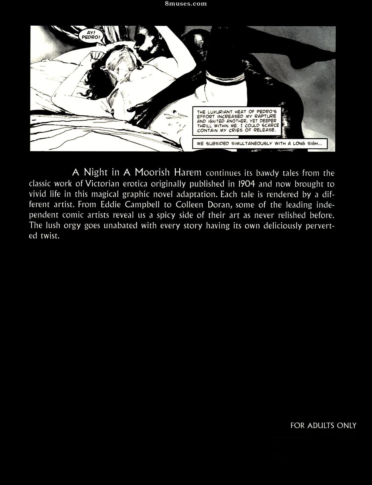 Amerotica Comics - A Night In A Moorish Harem 2 - Page 2