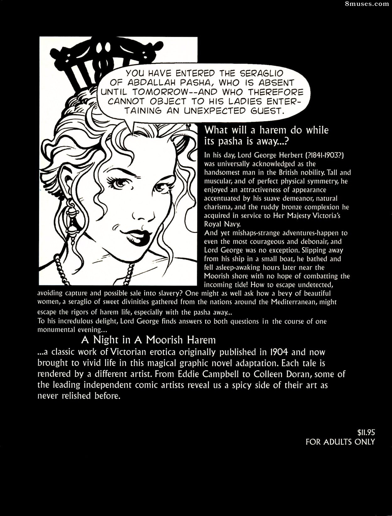 Amerotica Comics - A Night In A Moorish Harem 1 - Page 2