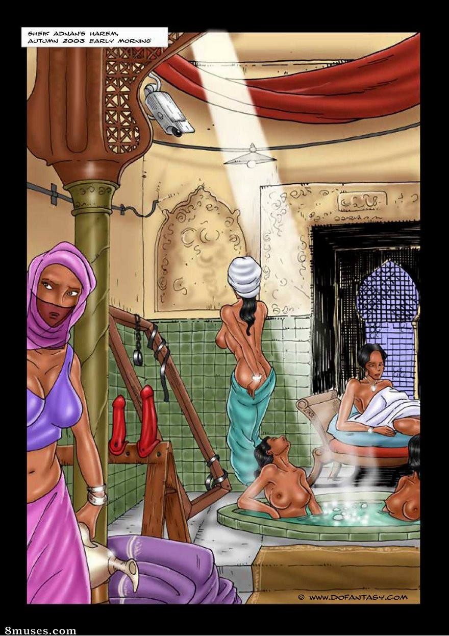 Fansadox Comics - Fansadox 020 - Cagri - Harem 2003 - Page 2