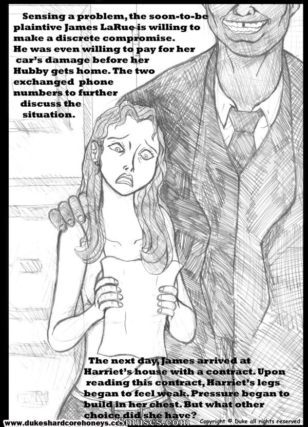 15. The Quarter Million Dollar Howswife - Issue 1 - Page 5