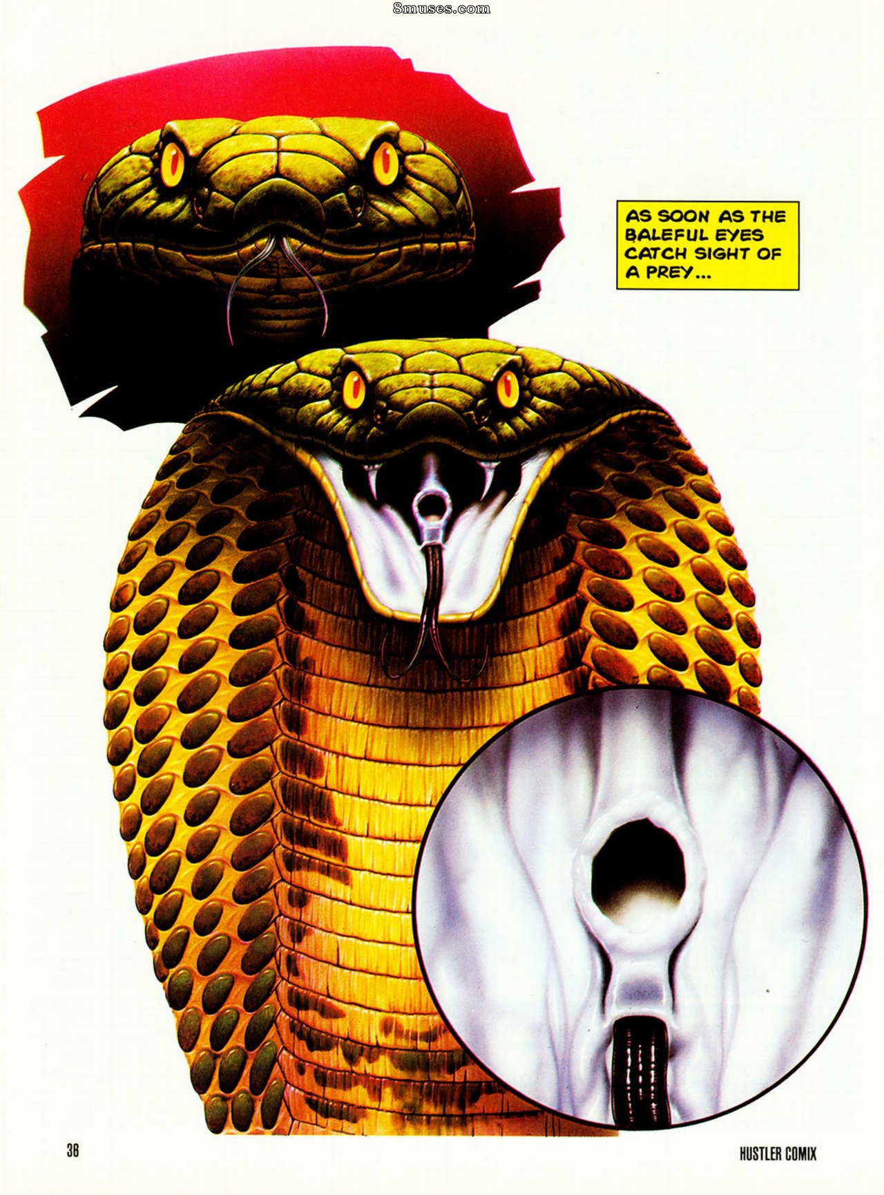 Vol. 1 - Issue 4 - Page 34