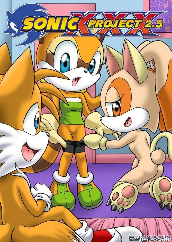 Sonic XXX - Número 2.5 - Página 1