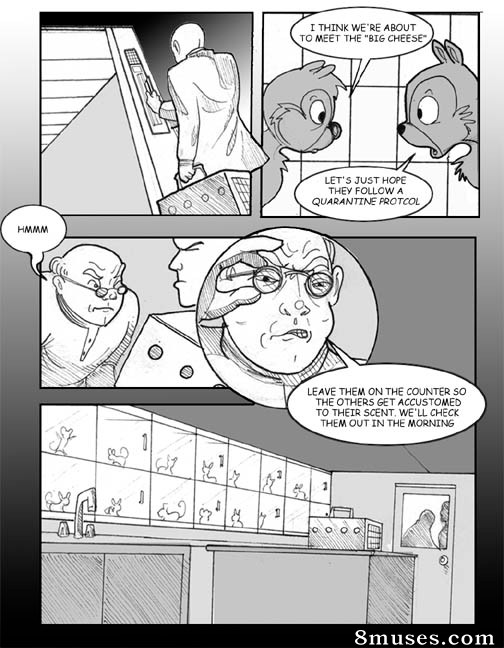 Comics - Chip and Dale-Of Mice and Mayhem - Page 36