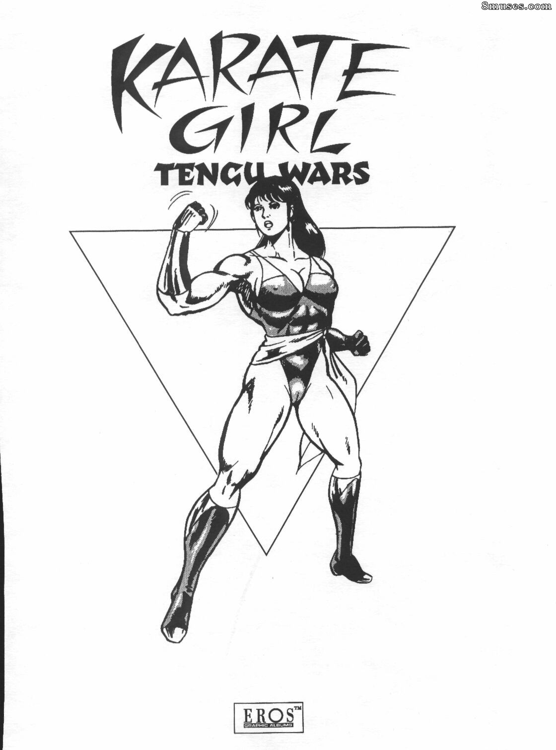 Novelas gráficas - Chica de karate - Página 2