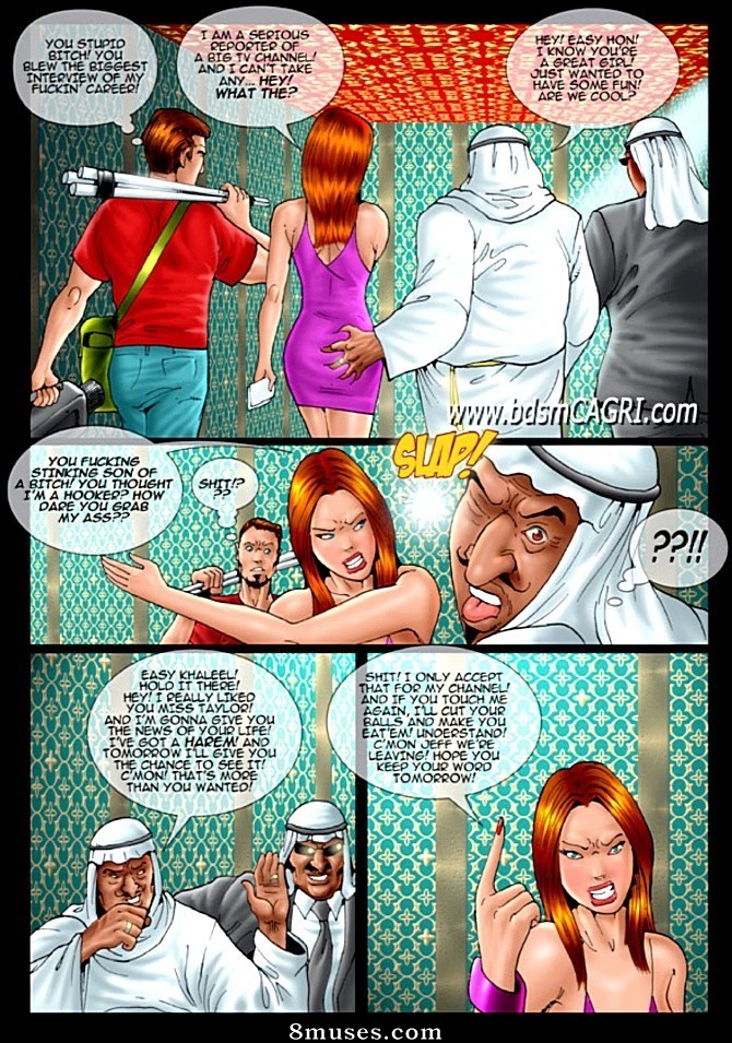 Fansadox Comics - Fansadox 254 - Cagri - Harem 2007 - Page 3