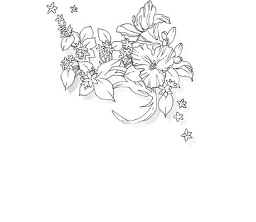 Issue 5