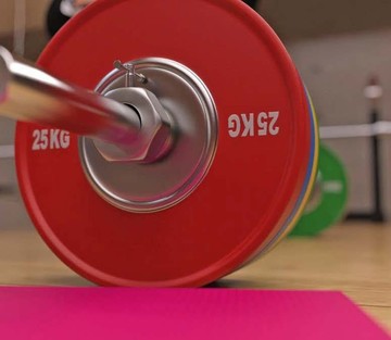 Fitness Coach - Page 309