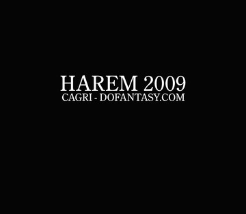 Fansadox 198 - Cagri - Harem 2009 - Page 3