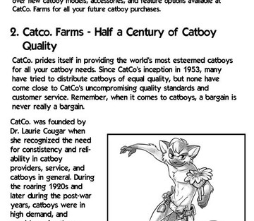 The Catboy Owners Manual - Page 4