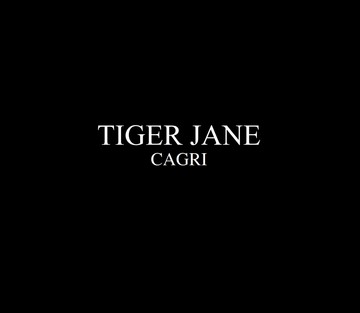 Fansadox 496 - Tiger Jane - Cagri - Page 4