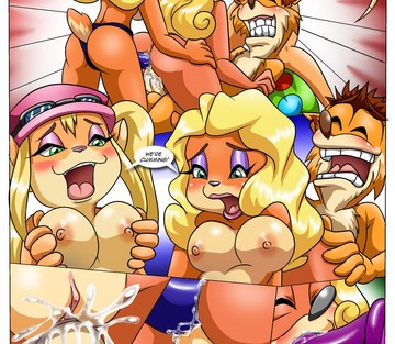 Bandicoot Experience - Page 13