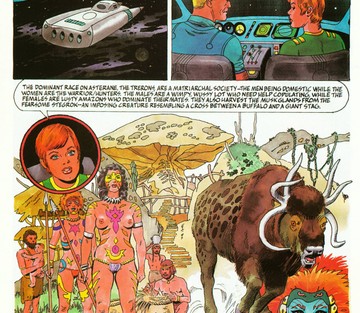 Issue 5 - Page 55