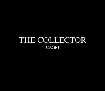 Fansadox 390 - Cagri - The Collector - Page 3