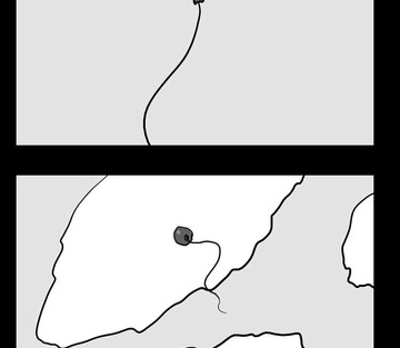 Zamora Theater - Page 377